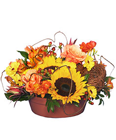 Sunflower Sensation Centerpiece