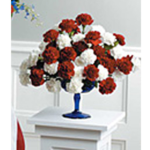 Red & White Carnation Arrangement