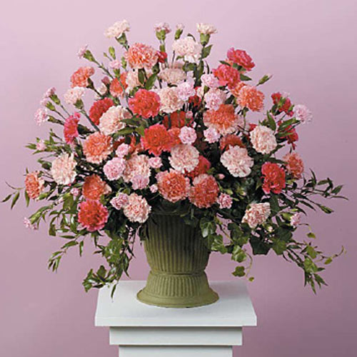 Pink and Peach Carnation Urn